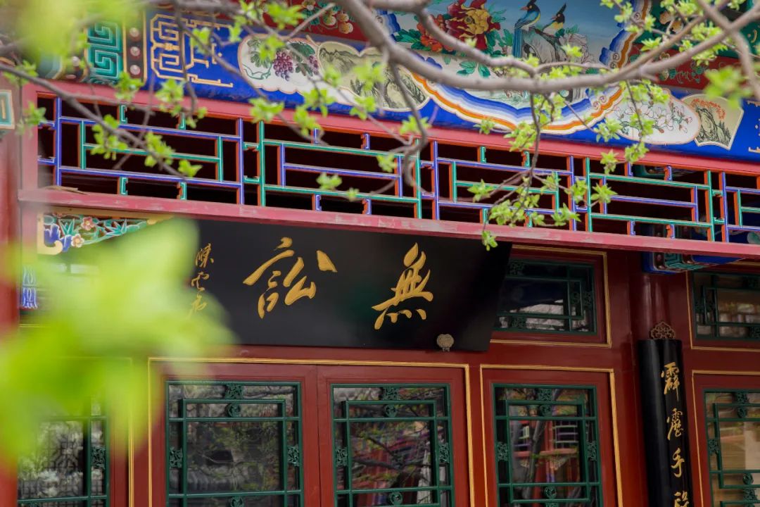 新則·人物|鄭厚哲：從零到一個(gè)選項(xiàng)