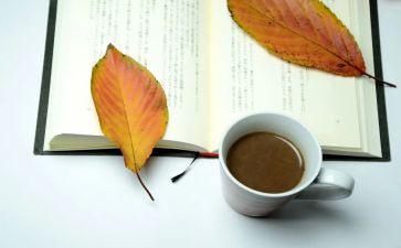 （滿分范文）大學(xué)生讀書日活動(dòng)策劃篇