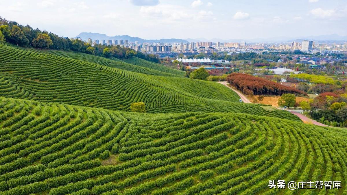 農(nóng)村文化活動(dòng)策劃_策劃農(nóng)村文化活動(dòng)的目的_農(nóng)村文化活動(dòng)方案