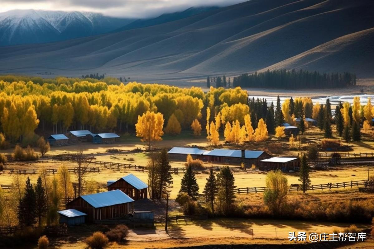 策劃農(nóng)村文化活動(dòng)的目的_農(nóng)村文化活動(dòng)策劃_農(nóng)村文化活動(dòng)方案