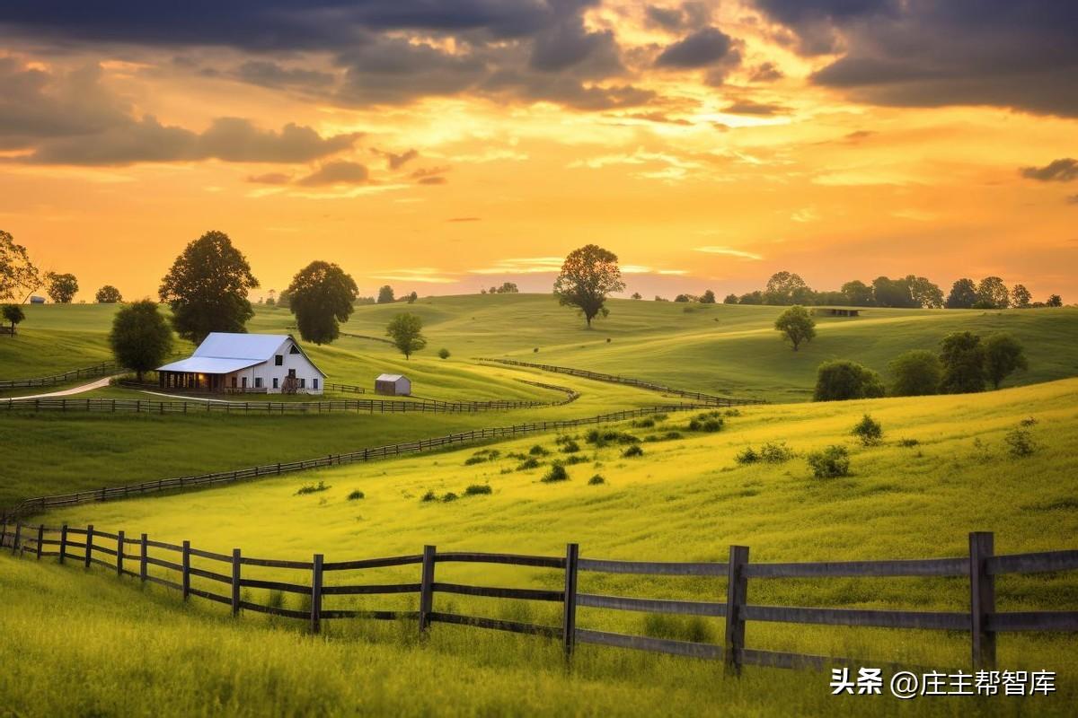 農(nóng)村文化活動(dòng)策劃_策劃農(nóng)村文化活動(dòng)的目的_農(nóng)村文化活動(dòng)方案