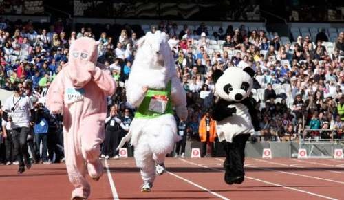 （通用8篇）趣味運動會活動方案（通用）