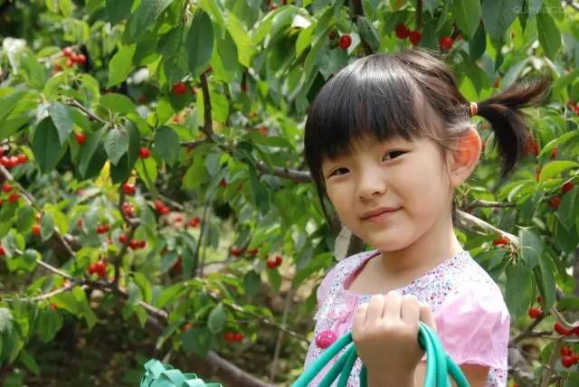 餐飲六一兒童節(jié)活動(dòng)策劃_餐飲行業(yè)六一兒童節(jié)活動(dòng)策劃_六一策劃餐飲兒童節(jié)活動(dòng)方案