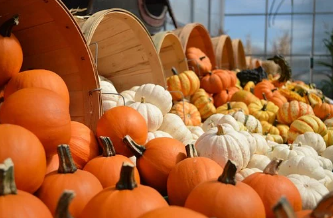 加拿大感恩節(jié)活動(dòng)策劃_加拿大感恩節(jié)怎樣慶祝_加拿大感恩節(jié)有什么活動(dòng)