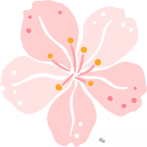 策劃方案藝術活動怎么寫_藝術活動策劃方案_策劃方案藝術活動怎么做