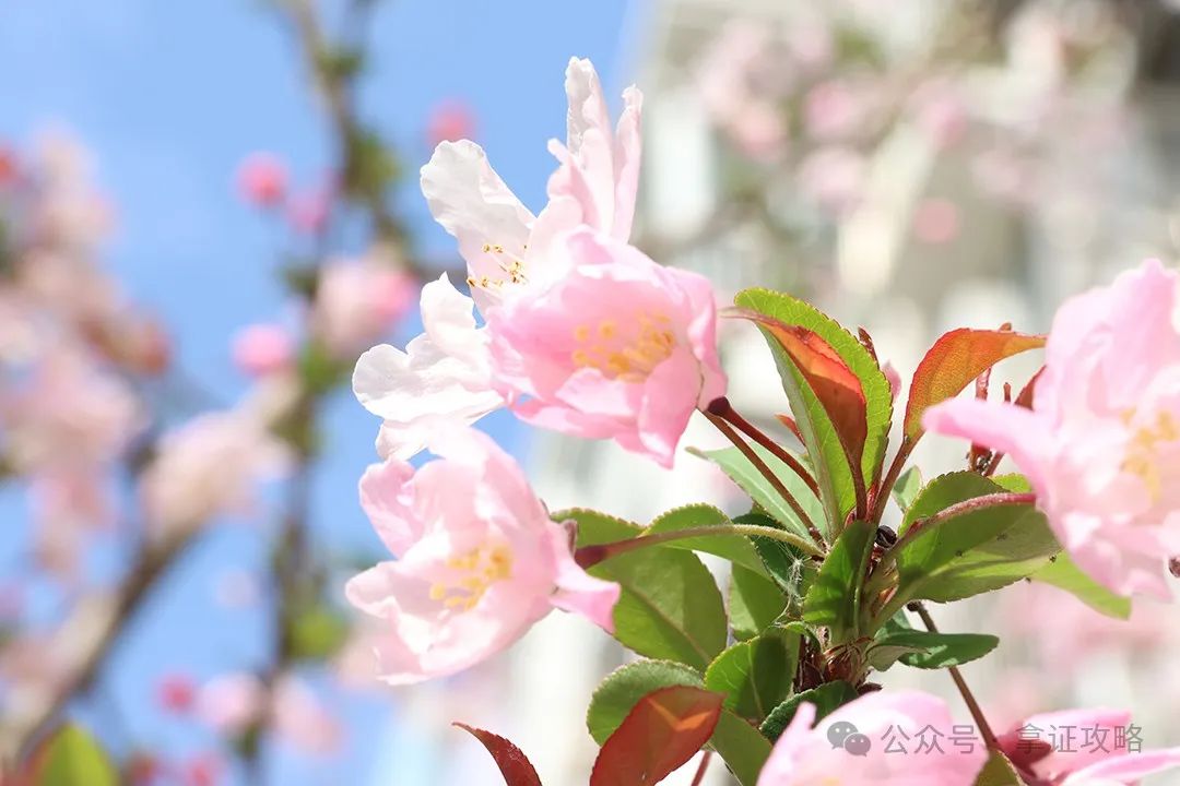 藝術活動策劃方案_策劃方案藝術活動怎么寫_策劃方案藝術活動怎么做