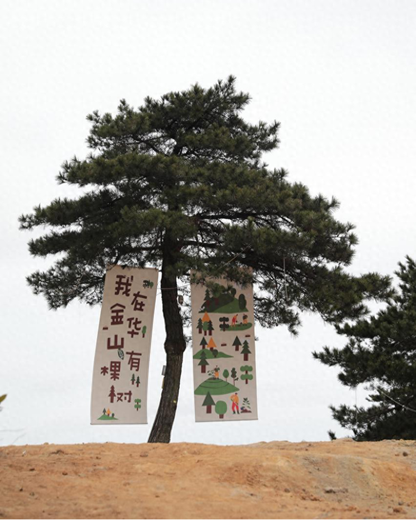 “我在金華山有棵樹”認養(yǎng)活動正式啟動