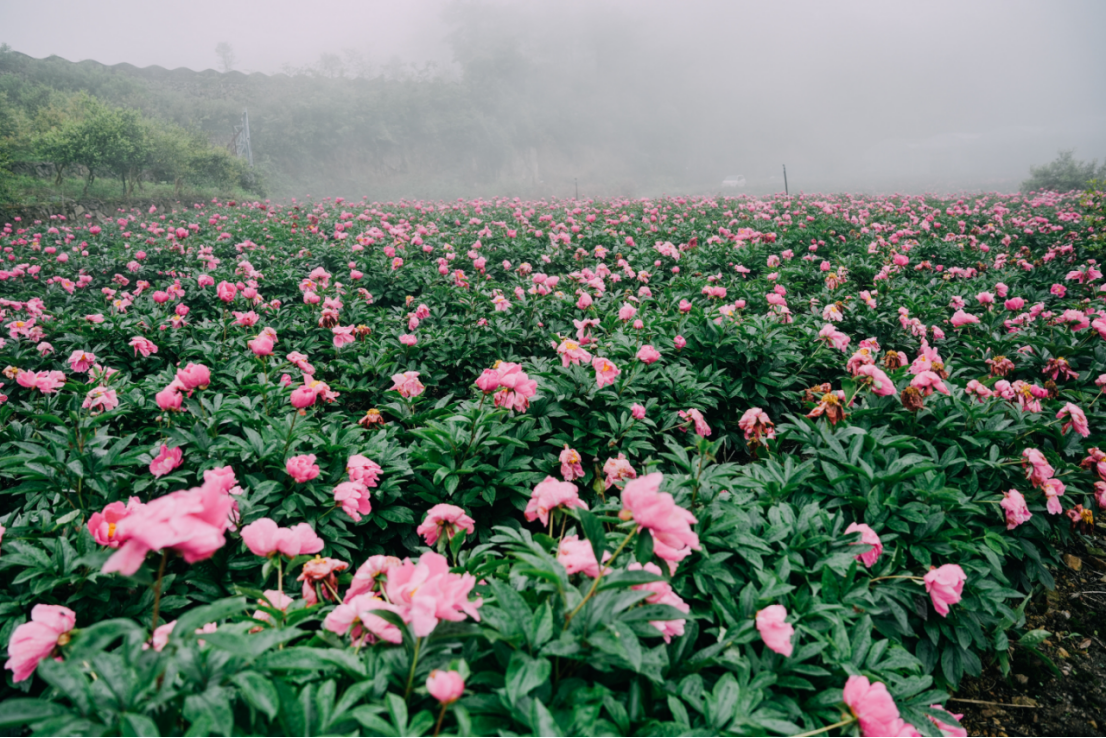 金華活動(dòng)策劃_金華過(guò)年活動(dòng)_金華跨年活動(dòng)2021