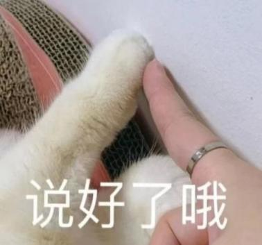 暑期三下鄉(xiāng)活動策劃書_下鄉(xiāng)策劃書暑期活動內(nèi)容_下鄉(xiāng)活動策劃案