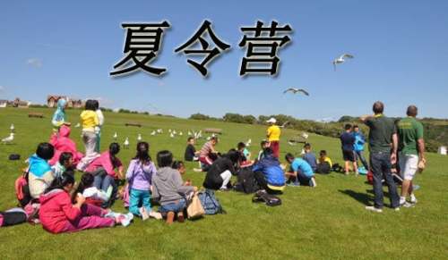 高中夏令營(yíng)活動(dòng)策劃方案（精選10篇）