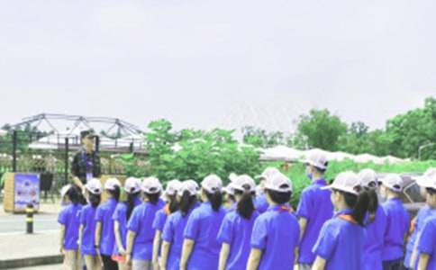 夏令營營銷策劃方案（精選5篇）