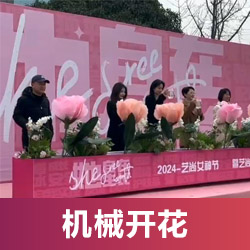 機(jī)械開(kāi)花啟動(dòng)臺(tái)