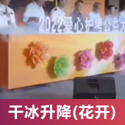 干冰升降花開(kāi)啟動(dòng)臺(tái)