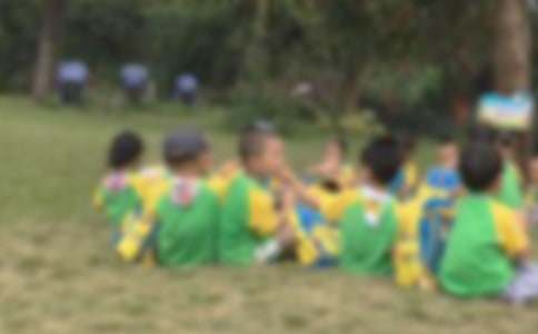 關(guān)于秋游活動策劃方案（通用5篇）