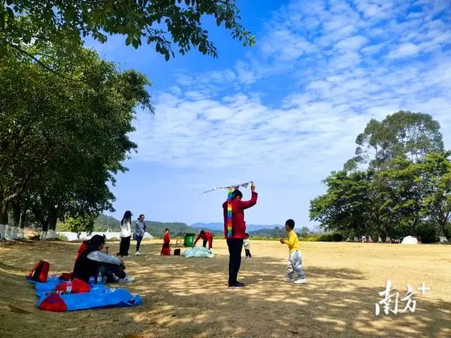 叱石第一屆風(fēng)箏文化節(jié)1月29日開幕，持續(xù)半月邀民共享春光