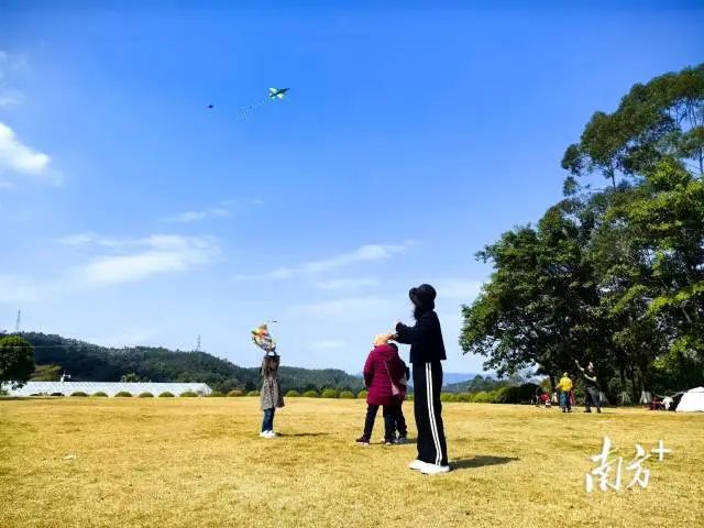 風箏活動策劃書_大學風箏節(jié)活動策劃_風箏節(jié)策劃書大學