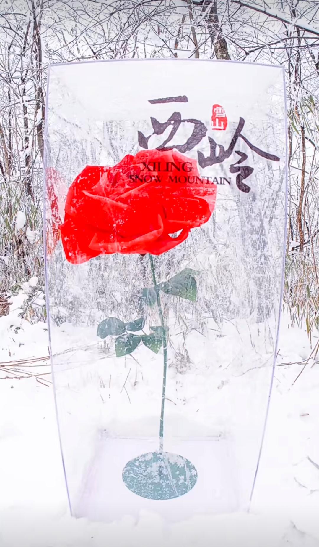 成都情人節(jié)酒店套餐_成都商場情人節(jié)活動_酒店情人節(jié)活動策劃