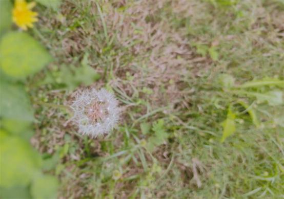 寫出打動(dòng)用戶的文案_活動(dòng)文案教學(xué)_文案創(chuàng)作中的場景感知